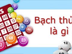 bạch thủ lô là gì